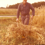 Koren Dorsen 30